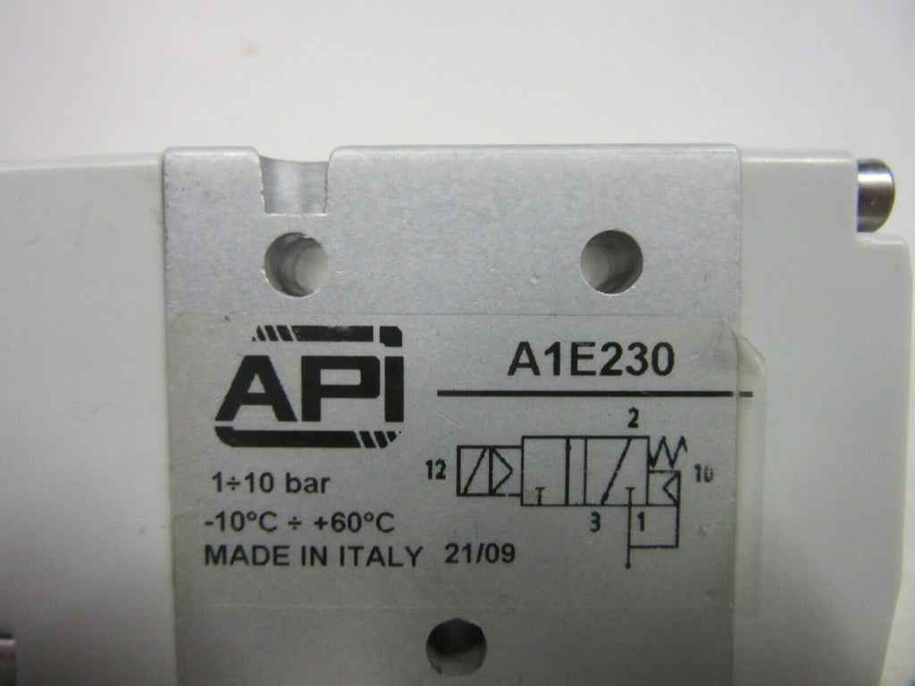 API A.P.I. A1E230 valve