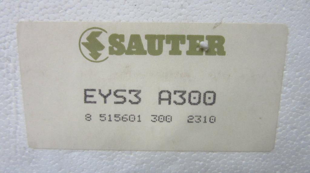 Sauter EYS3 A300